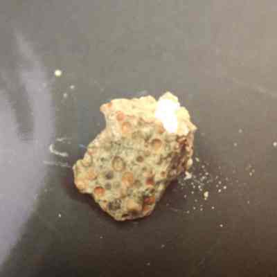 Rock/ Mineral