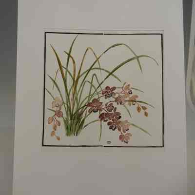 Orchids