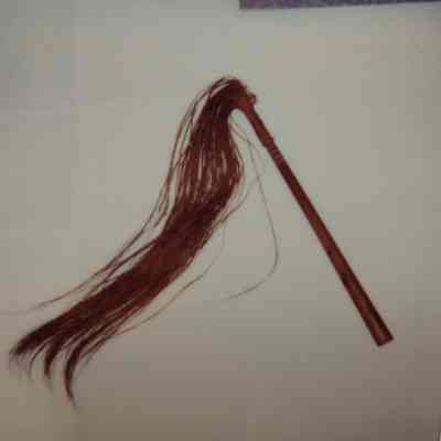 Whip with wood handle