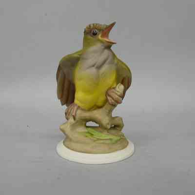 Baby Crested Flycatcher