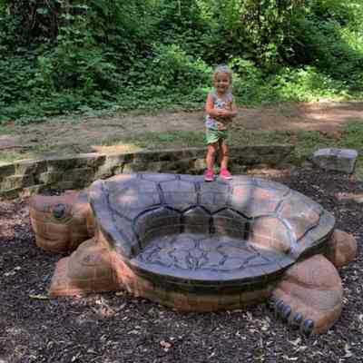 Two-seated Slider Turtle