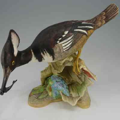 Hooded Merganser, Male of Pair
