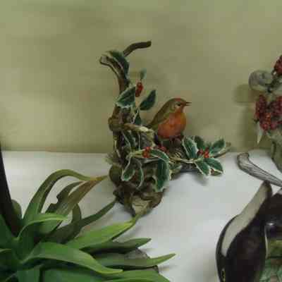 Winter Robin with English Holly