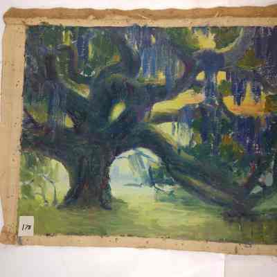 Live Oaks