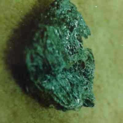 Rock/ Mineral