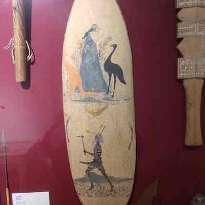 Shield