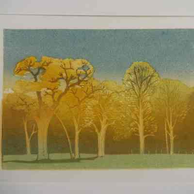 Pasture Trees in Spring