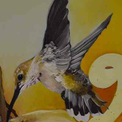 Hummingbirds