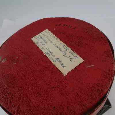 Water Drum (Ganajor)