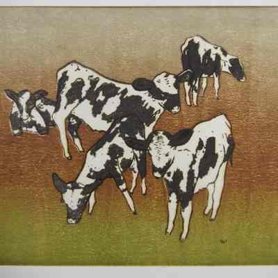 Calves, Black and White