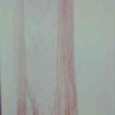 Wedding Veil