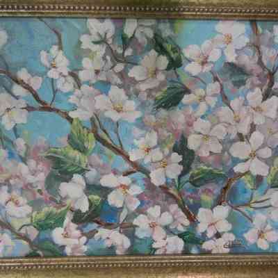 Cherry Blossoms