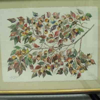 Wild Persimmons