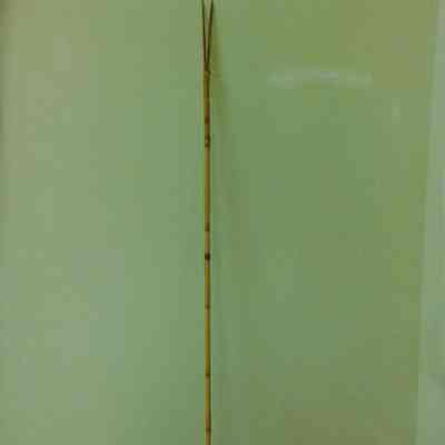 Fishing Spear