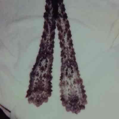 Black Lace Jabot