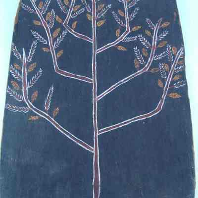 Bark Paintings