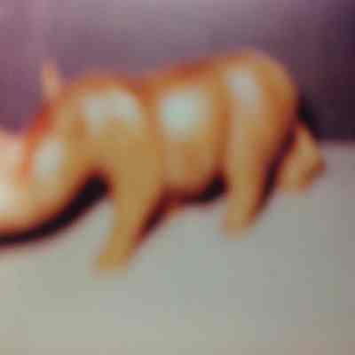 Hand-carved wooden animals from Uganda