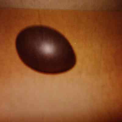 Emu Egg