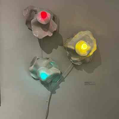 Wall Flowers