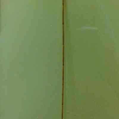 Fishing Spear