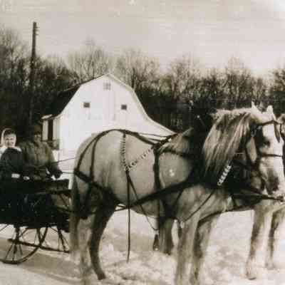 Horses and sleigh, Moral Township