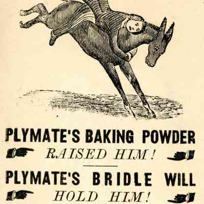Plymate's ad