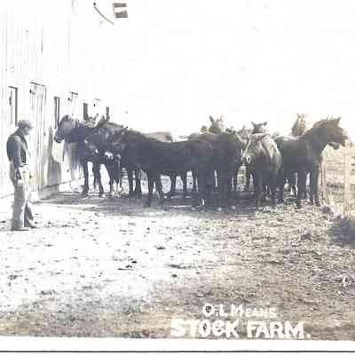 O L Means Stock Farm