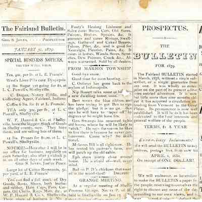 Fairland Bulletin, 31 Jan 1879