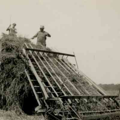 Benjamin Larrison, farming