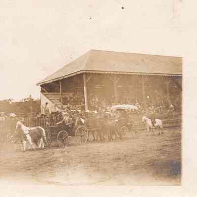 Ponies at Exeter Fair