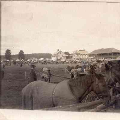 Horses at Exeter Fair