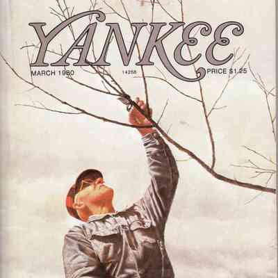 Yankee Magazine "The Road Not Taken" Article