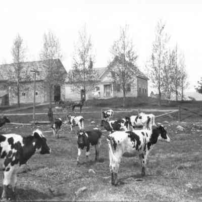Ames Farm, South Exeter