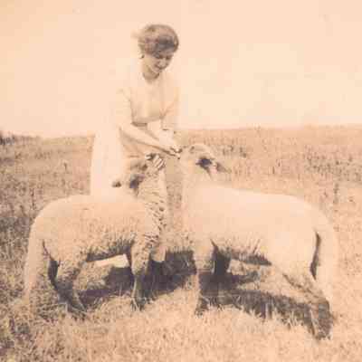 Margaret Tibbetts with sheep