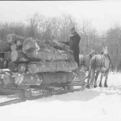 Hauling Logs