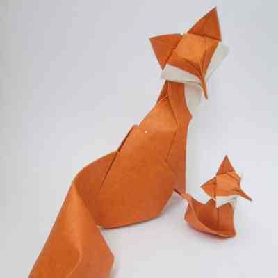 (C) - Quyết, Hoàng Tiến (Vietnam) - Two foxes