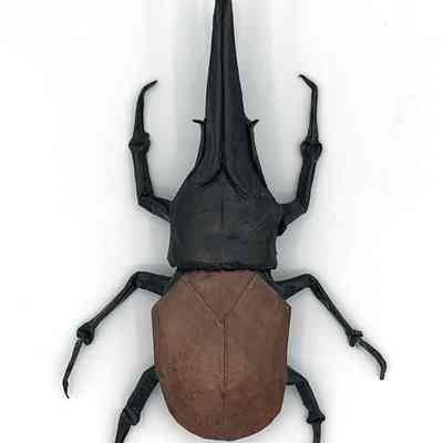 (F) - Mariano, Herman (Folder, Israel); Lang, Robert J. (Creator, USA) - Hercules beetle