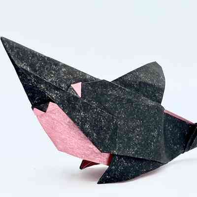 (C) - Esteve, Oriol (Spain) - Whale