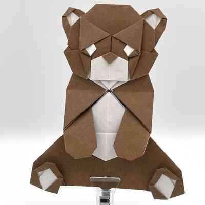 (C) - Chen, Xiao (China) - Teddy Bear