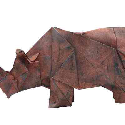 (C) - Díaz, Román (Uruguay) - Rhinoceros