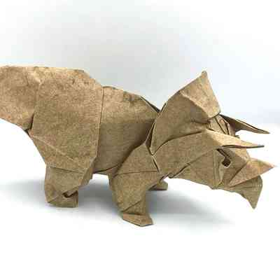 (C) - Díaz, Román (Uruguay) - Baby Triceratops
