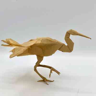 (C) - Díaz, Román (Uruguay) - Crane