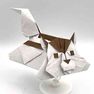 (C) - Chen, Xiao (China) - Lazy Chipmunk
