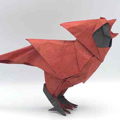 (C) - Díaz, Román (Uruguay) - Cardinal