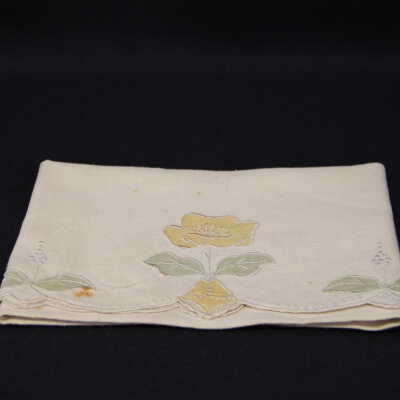 Napkin
