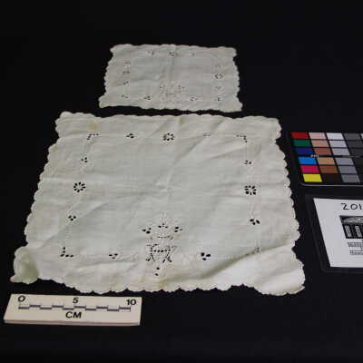 Napkin