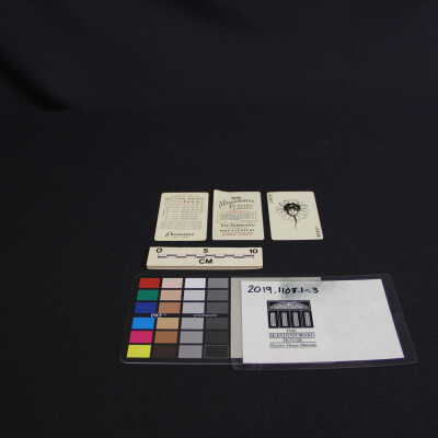 Card, Playing