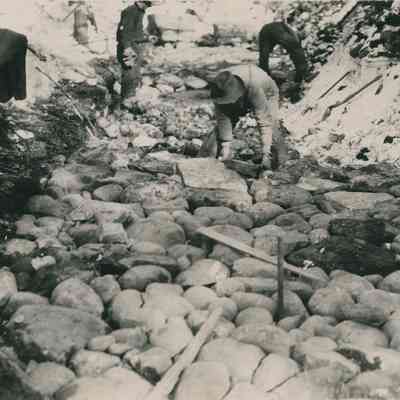 Trio Laying Rock Bed