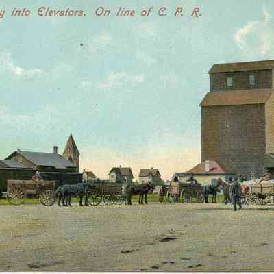 Wheat Delivery into the Elevators