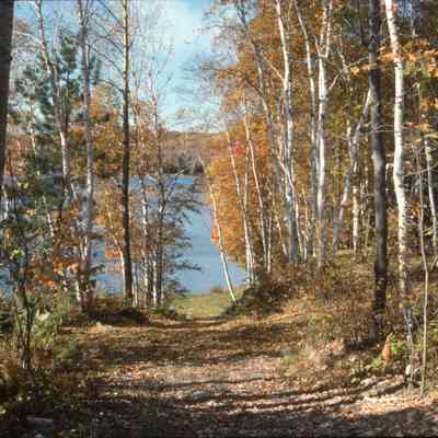 Trout Lake